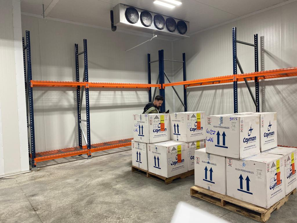 pharmaceutical cargo inside a temperature-controlled walk-in cooler with 55 pallet positions and dual ranges of 2°C–8°C and 15°C–25°C.
