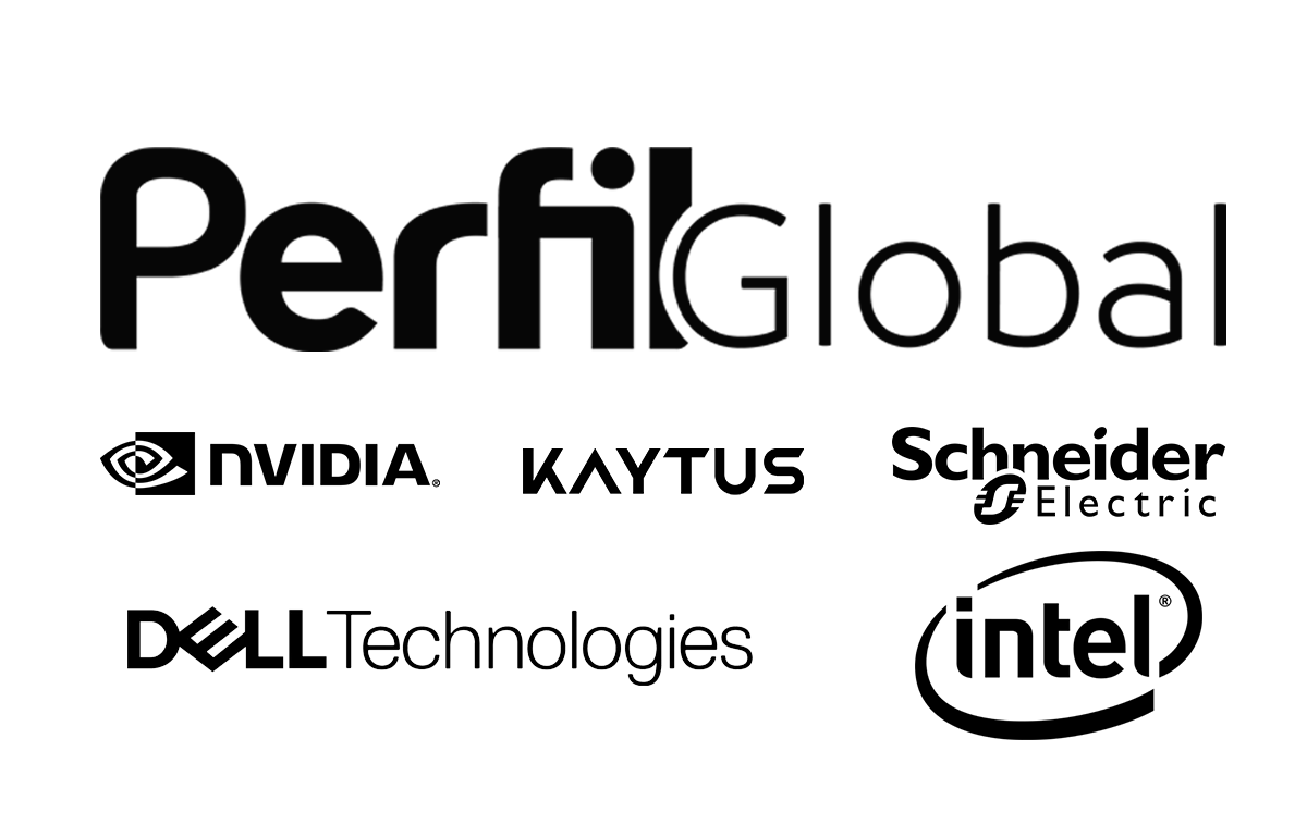 Logo PerfilGlobal Draco